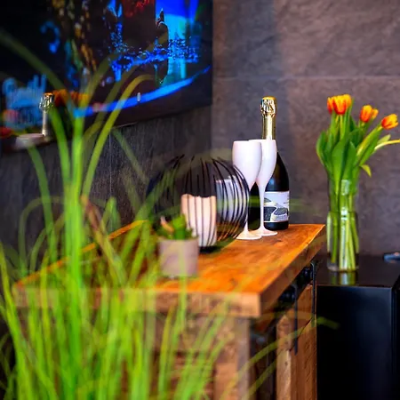 Nobilis - Mlada Boleslav Hotel 4*