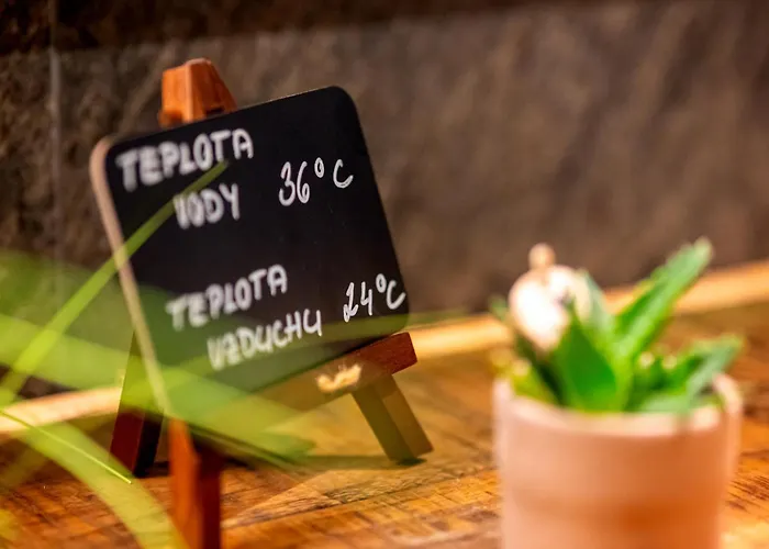 Hotel Nobilis - Mlada Boleslav 4*